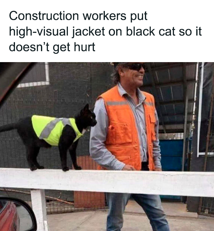 Adorable-Wholesome-Memes-Pics