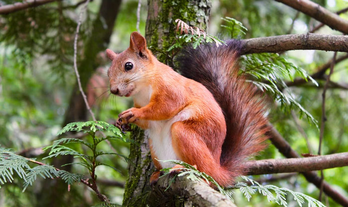 Improbable Doesn’t Mean Impossible: 30 Unlikely Events People Experienced Firsthand