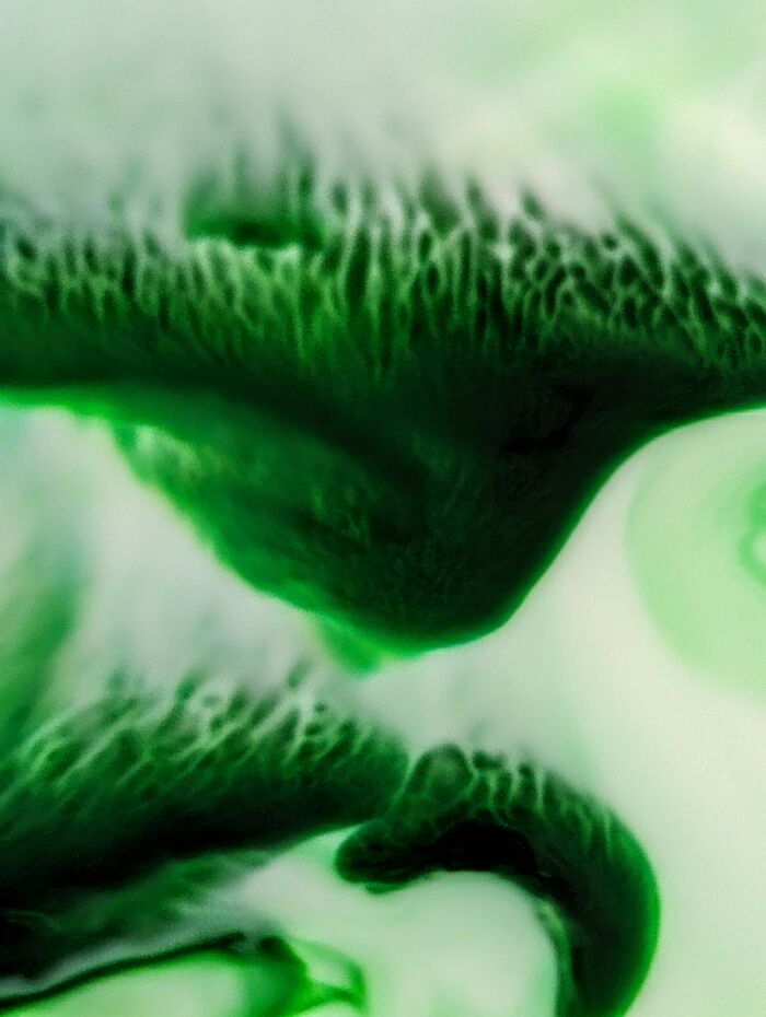 I'm Having Fun With Milk And Food Coloring. It Started Out As A Silly Kid's Project But Turned Into A Photo Shoot. When We Can Afford It, I'd Like To Get Prints Made And Then Frame Some Of These For My Walls