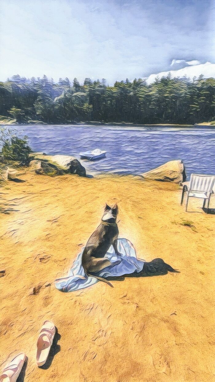 This Is Kevin. He's In Heaven Xo