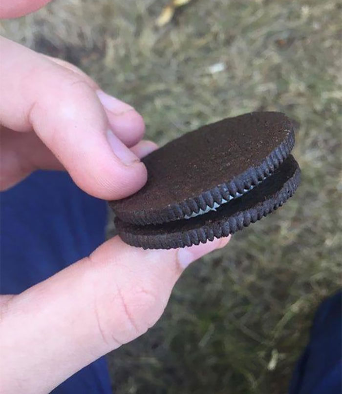 Mildly-Infuriating-Pictures