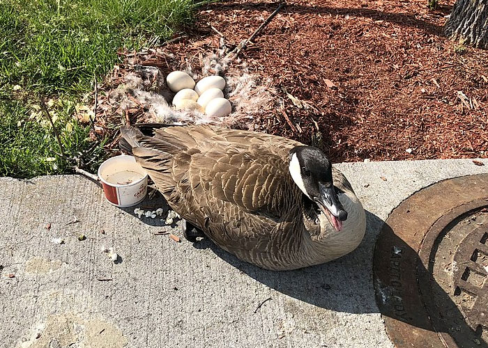 “Today I Learned”: People Share 50 Fascinating Things They Didn’t Learn In School (New Pics)