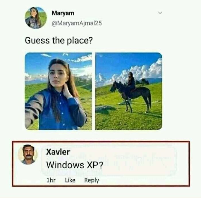 Social media meme with a woman taking selfies outdoors and a funny meme comment from Xavier about Windows XP.