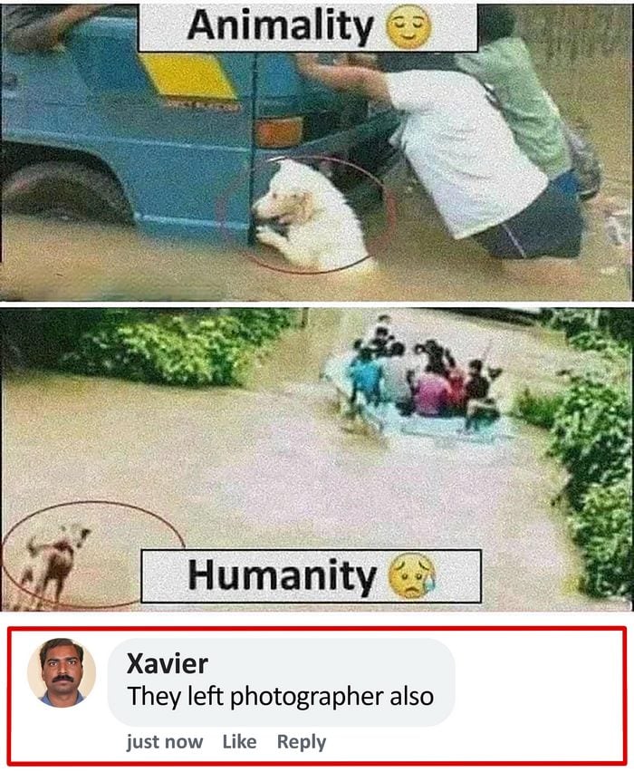 Dog helping person in flood water labeled animality, while people ignore another dog labeled humanity in a funny memes idealist Xavier style.