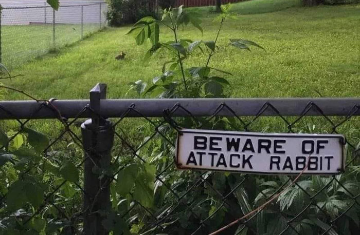 Rare-And-Unusual-Funny-Signs