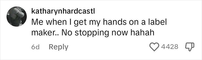 Comment from user katharynhardcastl about using a label maker with excitement, related to Airbnb rules notes.