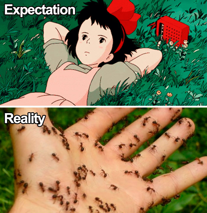 Studio Ghibli meme showing expectation of relaxing in grass vs. reality with ants on a hand.