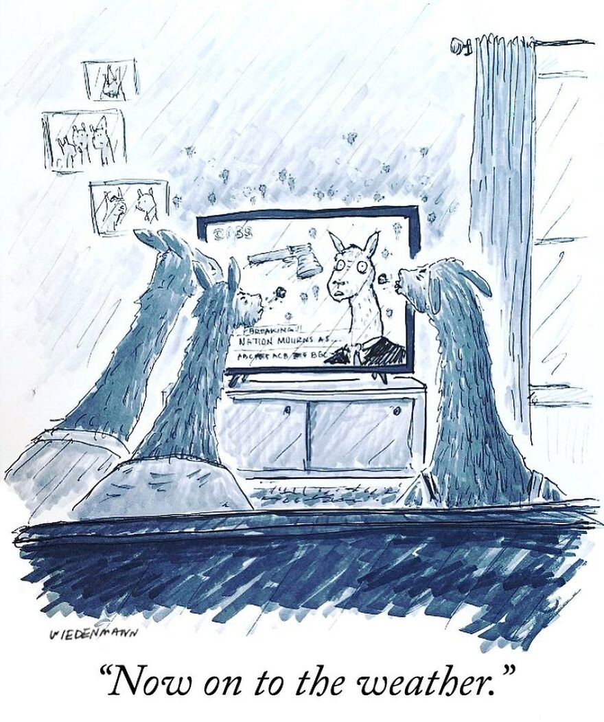 15 Cartoons Describing My Complicated Relationship With Technology