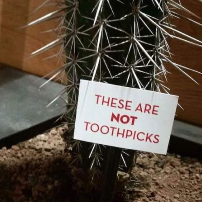 Rare-And-Unusual-Funny-Signs