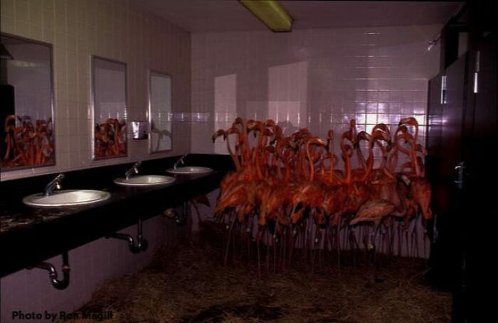 Cursed-Images-Facebook