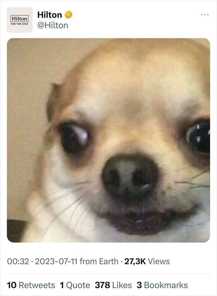 Airbnb Property Dragged After Professor Shares His Unexpected Finding