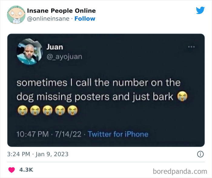 Insane-People-Online