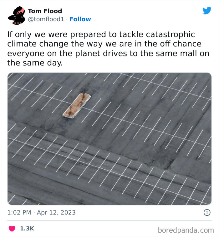 Everything Must Be Sacrificed For The Car