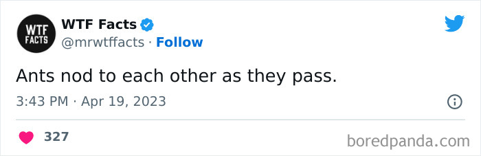 Fascinating-Random-Facts