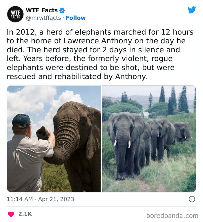 Fascinating-Random-Facts