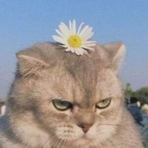 gargarita-mica-08 avatar