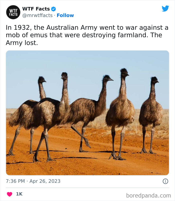 Fascinating-Random-Facts