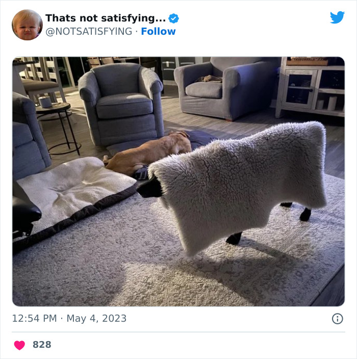 Not-Satisfying-Page-Twitter