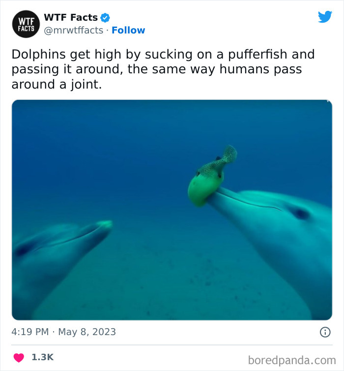 Fascinating-Random-Facts