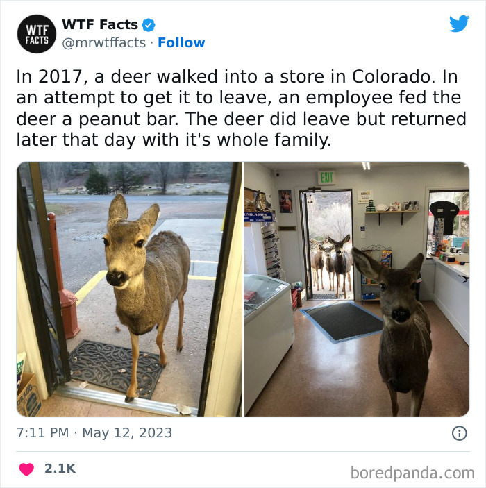 Fascinating-Random-Facts