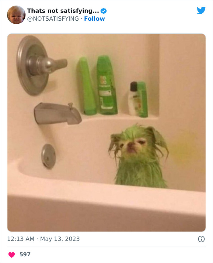 Not-Satisfying-Page-Twitter