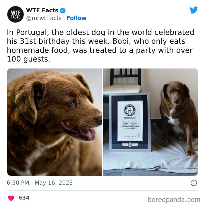 Fascinating-Random-Facts