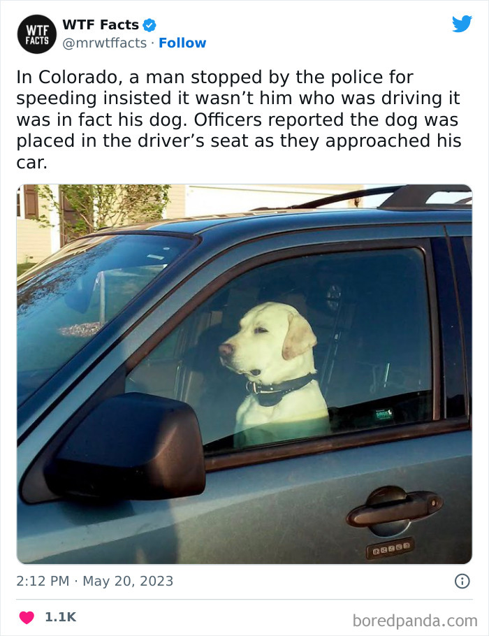 Fascinating-Random-Facts