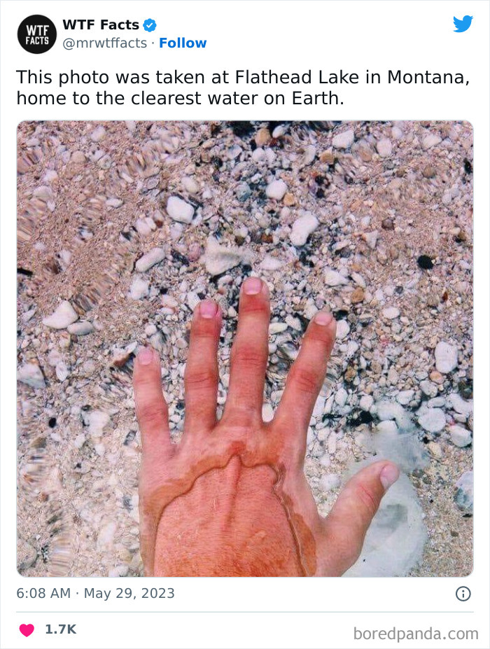 Fascinating-Random-Facts