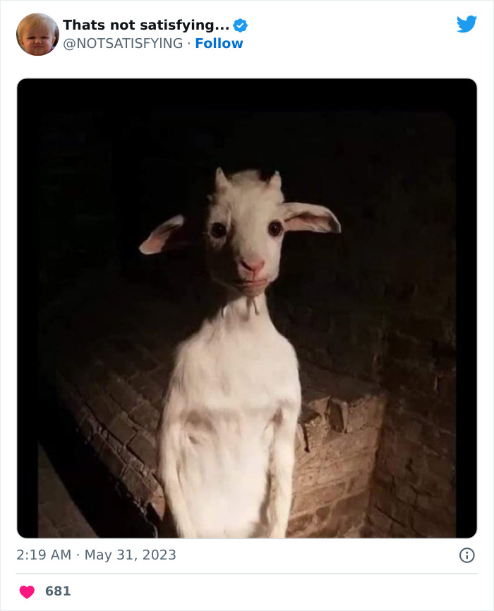 Not-Satisfying-Page-Twitter