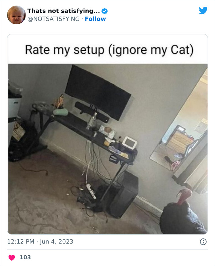 Not-Satisfying-Page-Twitter