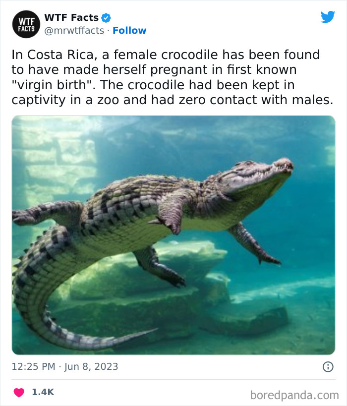 Fascinating-Random-Facts