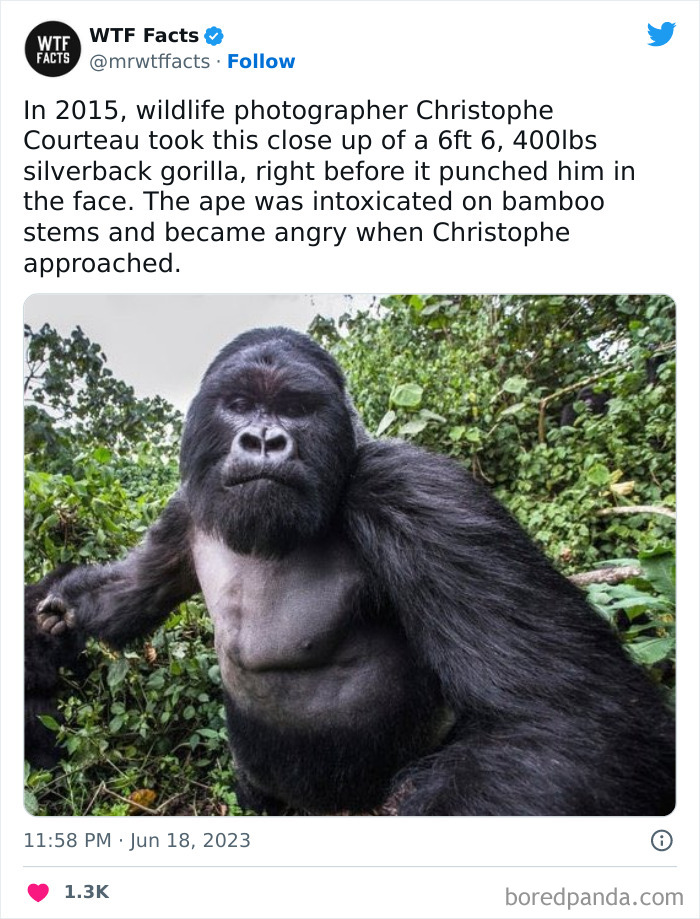 Fascinating-Random-Facts