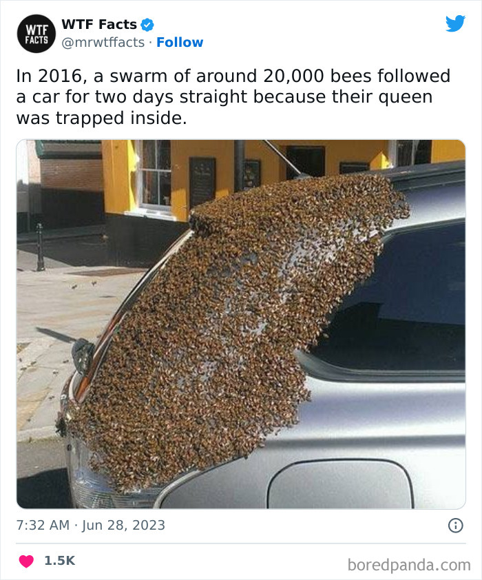 Fascinating-Random-Facts