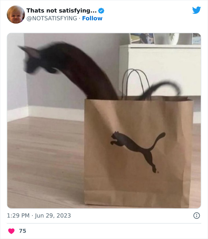 Not-Satisfying-Page-Twitter