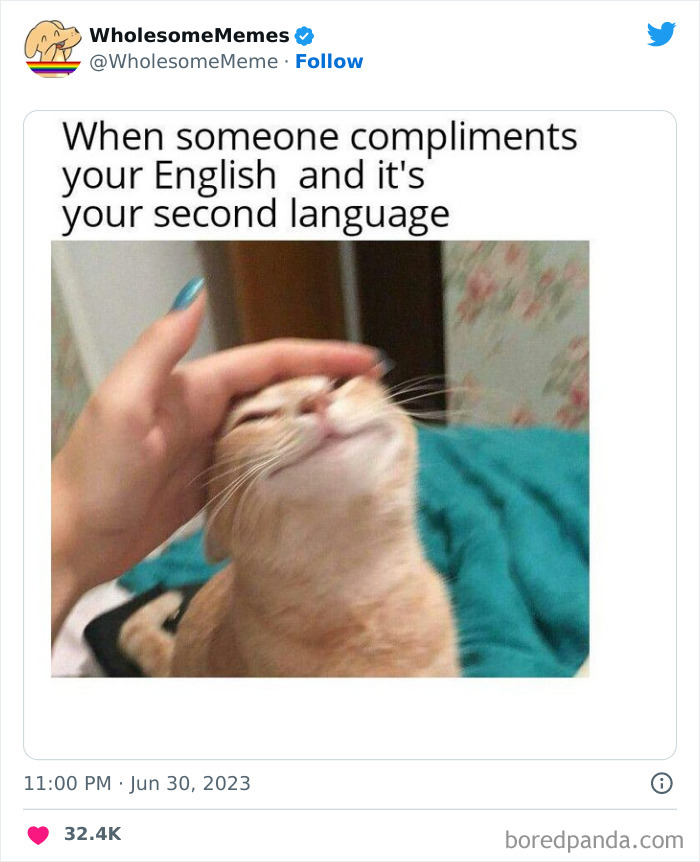 Adorable-Wholesome-Memes-Pics