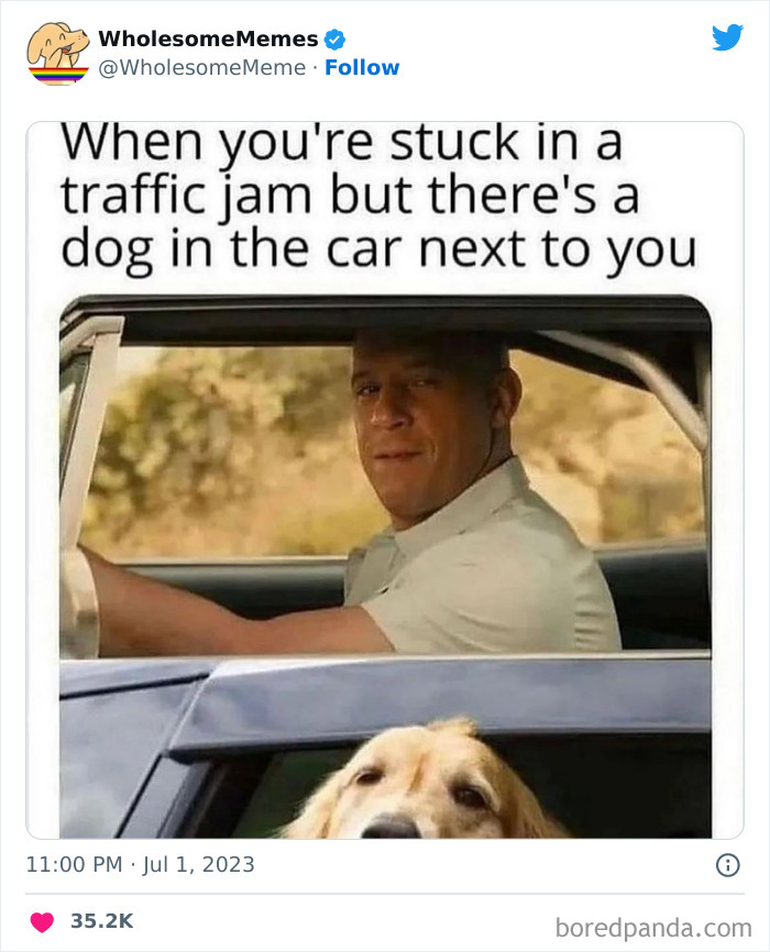 Adorable-Wholesome-Memes-Pics