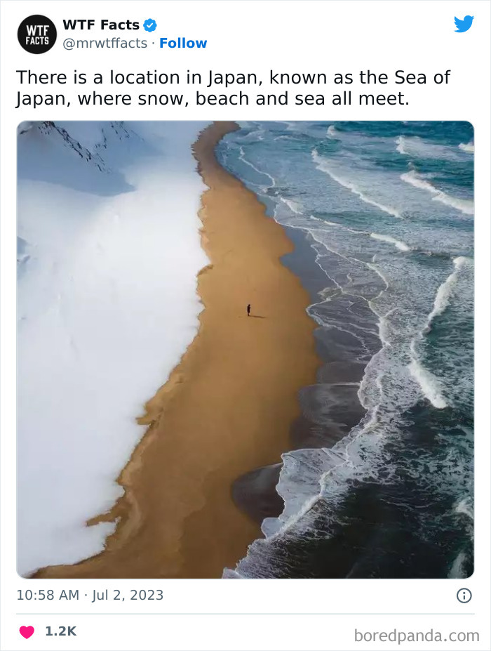 Fascinating-Random-Facts