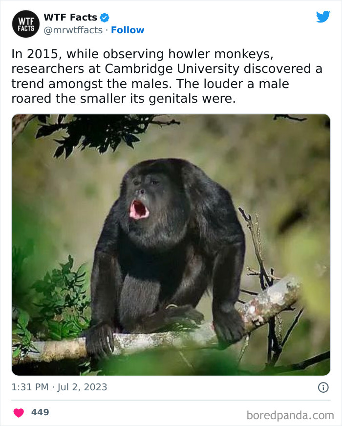 Fascinating-Random-Facts