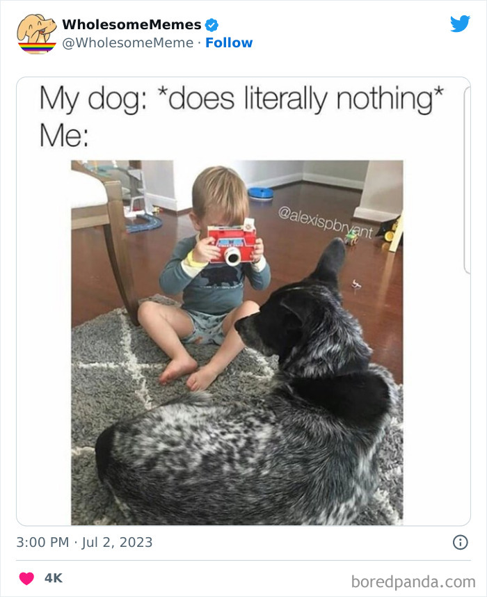 Adorable-Wholesome-Memes-Pics