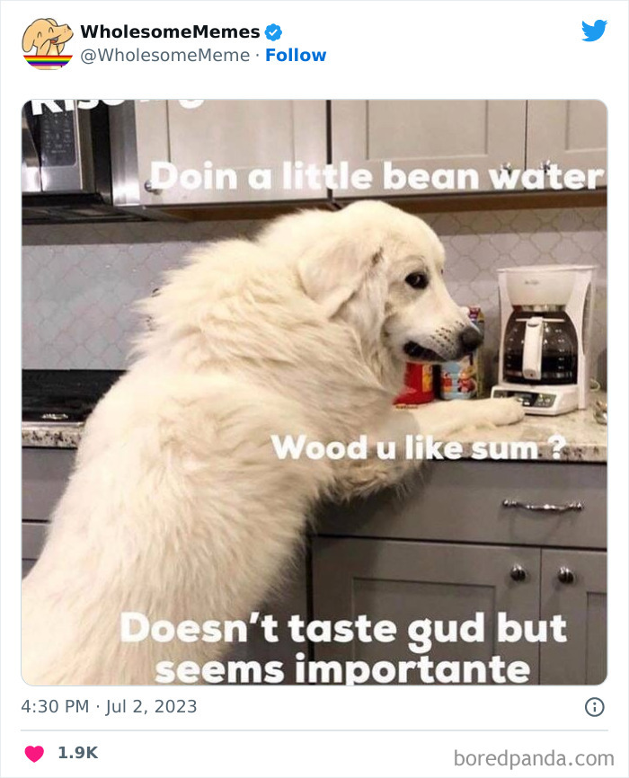 Adorable-Wholesome-Memes-Pics