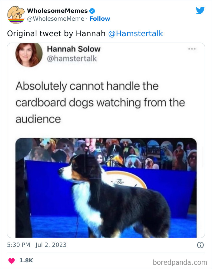 Adorable-Wholesome-Memes-Pics