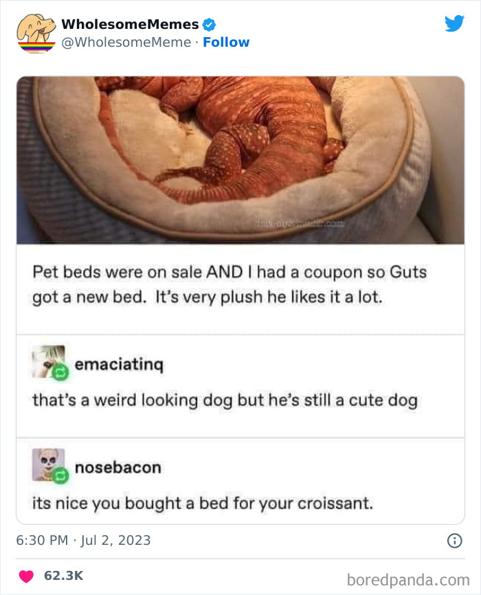 Adorable-Wholesome-Memes-Pics