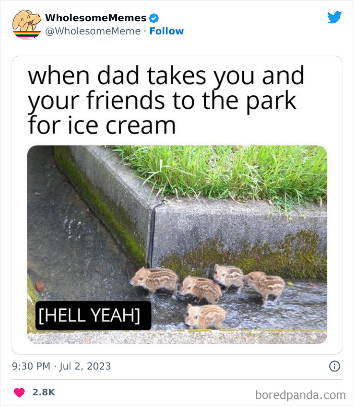 Adorable-Wholesome-Memes-Pics