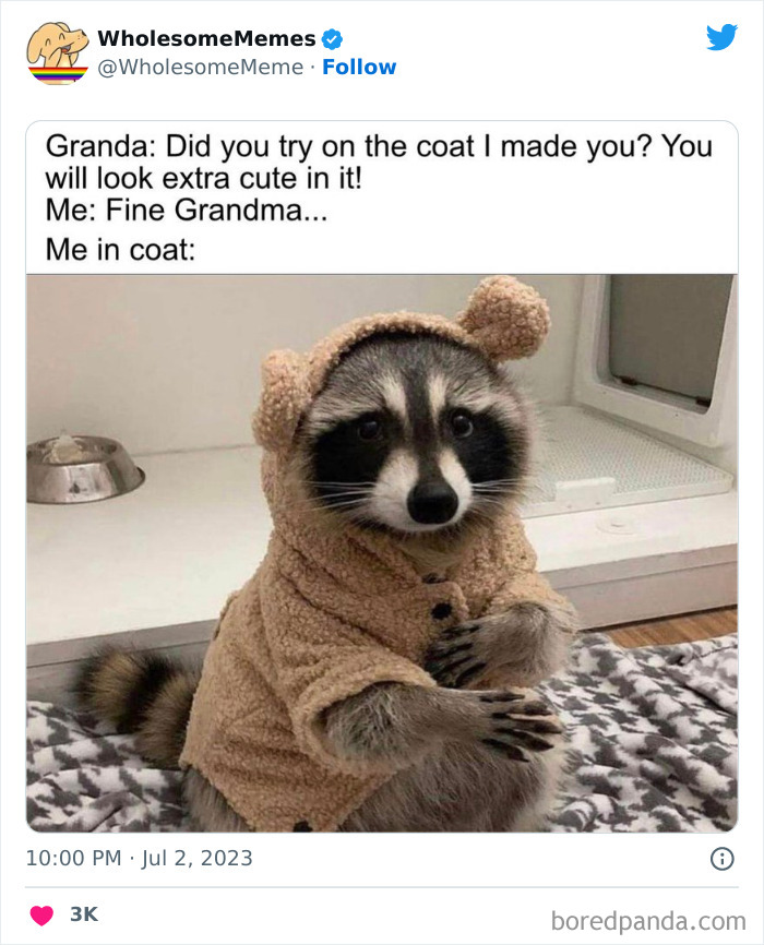 Adorable-Wholesome-Memes-Pics