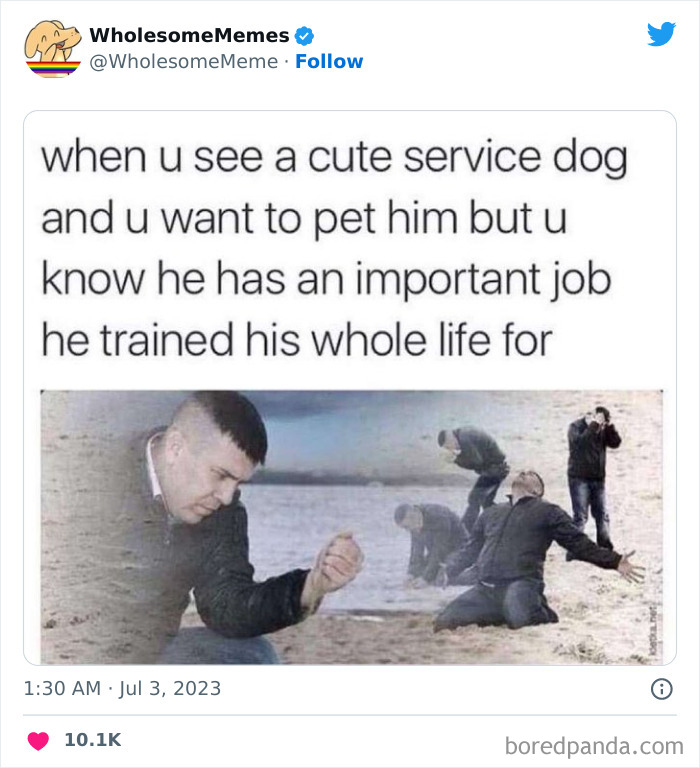 Adorable-Wholesome-Memes-Pics