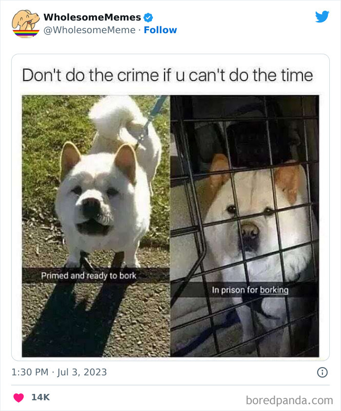 Adorable-Wholesome-Memes-Pics