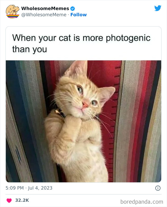 Adorable-Wholesome-Memes-Pics