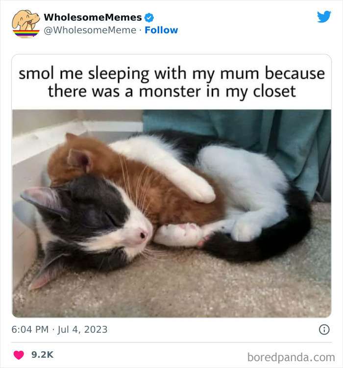 Adorable-Wholesome-Memes-Pics