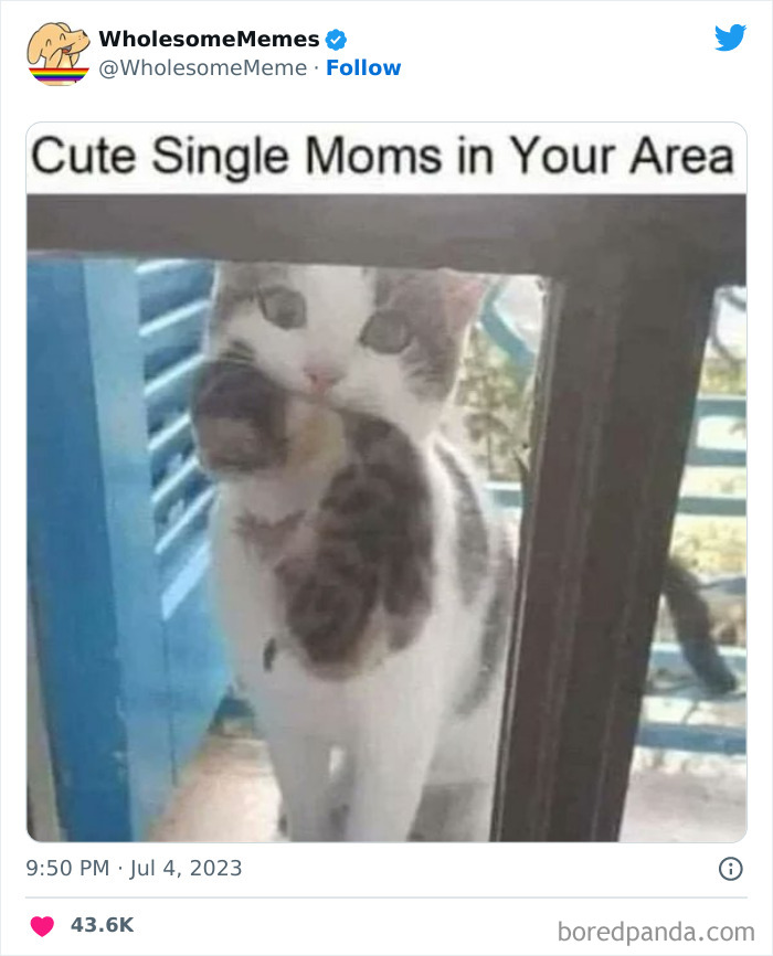 Adorable-Wholesome-Memes-Pics