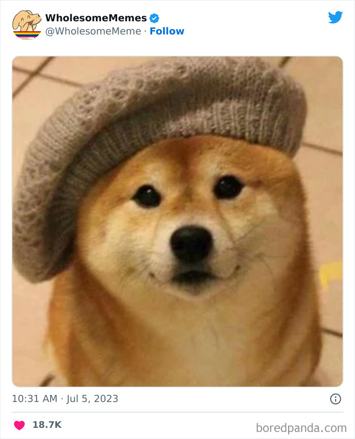 Adorable-Wholesome-Memes-Pics